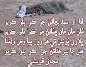 Save Sindh Bhooro Bheel